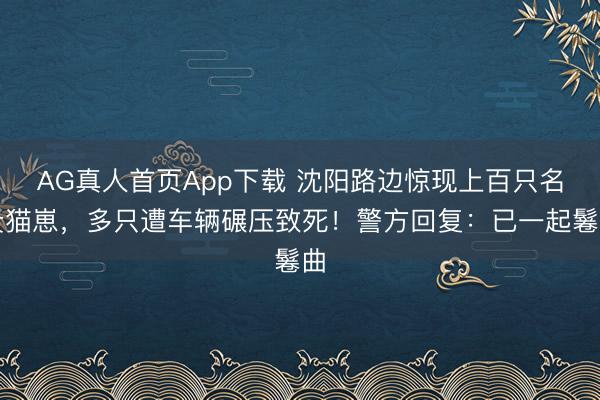 AG真人首页App下载 沈阳路边惊现上百只名贵猫崽，多只遭车辆碾压致死！警方回复：已一起鬈曲