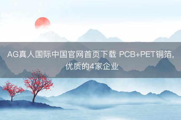 AG真人国际中国官网首页下载 PCB+PET铜箔， 优质的4家企业