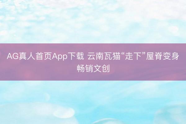 AG真人首页App下载 云南瓦猫“走下”屋脊变身畅销文创