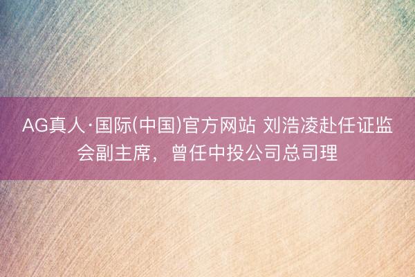 AG真人·国际(中国)官方网站 刘浩凌赴任证监会副主席，曾任中投公司总司理