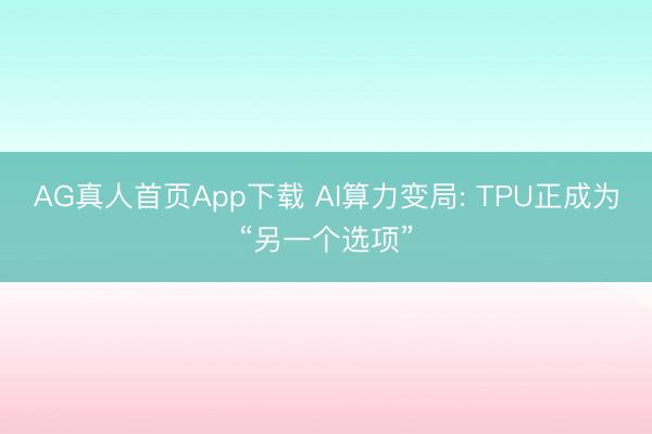 AG真人首页App下载 AI算力变局: TPU正成为“另一个选项”